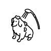 Des services variés